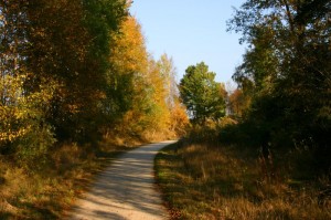 Sechsämterradweg (2)